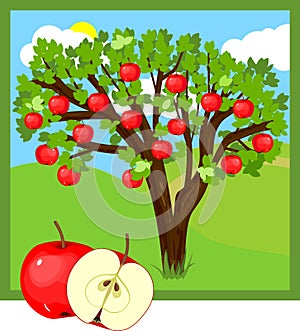Cartoon apple tree with red fruits and green leaves
